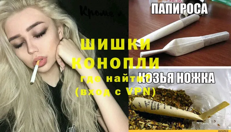 наркотики  Алексеевка  blacksprut ссылка  МАРИХУАНА Ganja 